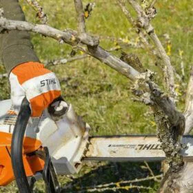 Alquiler de Motosierra ligera para podar