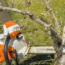 Alquiler de Motosierra ligera a batería para trabajos de jardinería