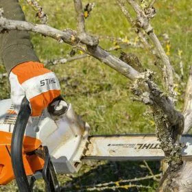 Alquiler de Motosierra ligera a batería para trabajos de jardinería