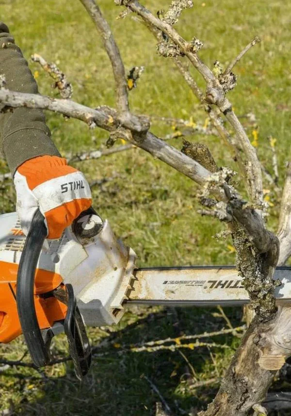 Alquiler de Motosierra ligera a batería para trabajos de jardinería