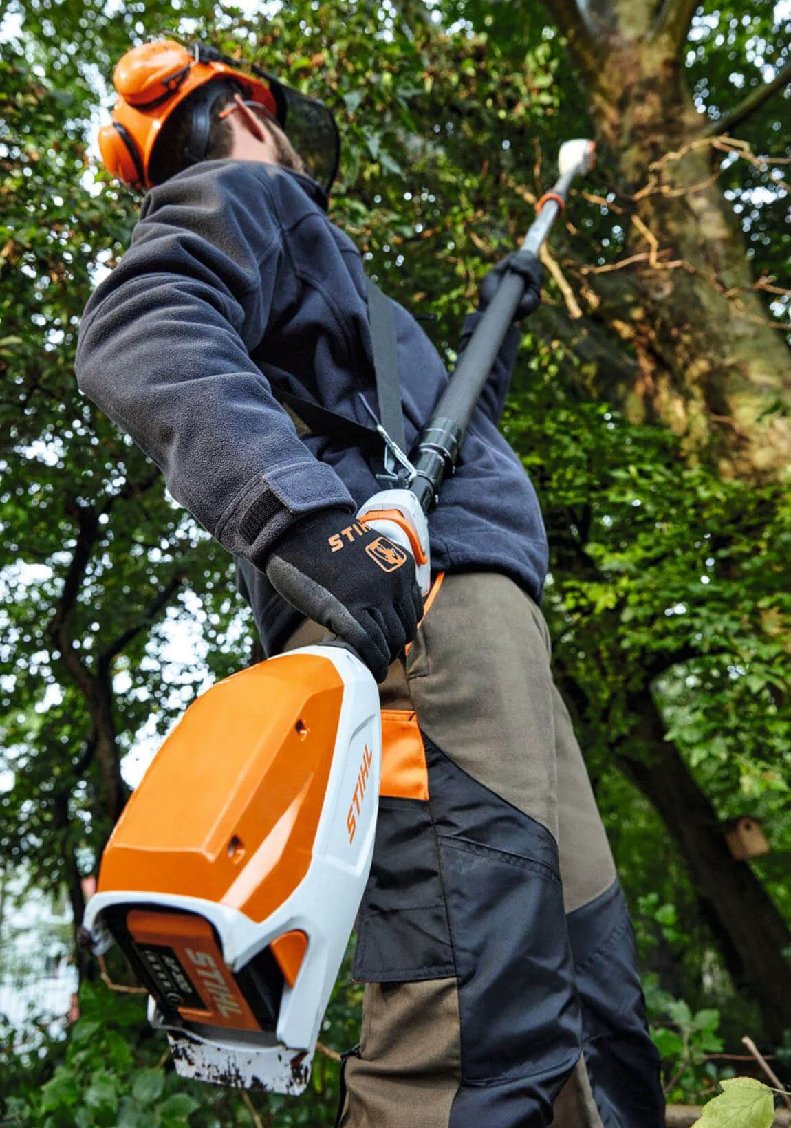 Alquiler para particulares de herramientas de jardinería de podadora en altura