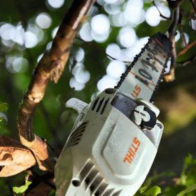 Podadora en altura alquiler para particulares