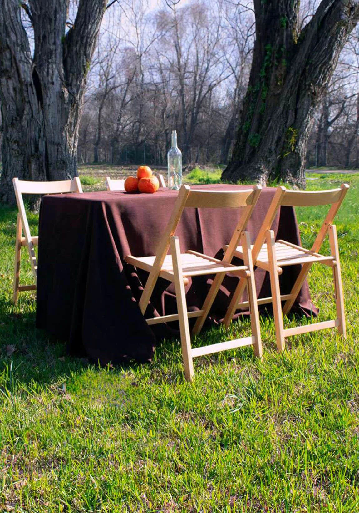 Alquiler silla plegable
