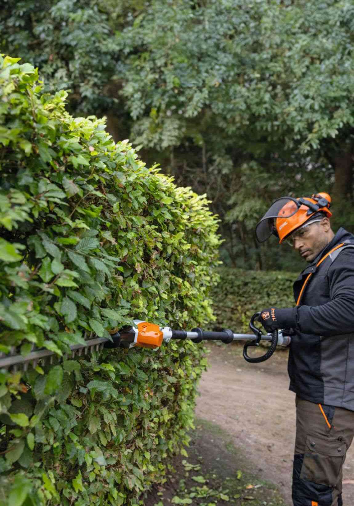 Alquiler de Cortasetos de altura a batería Stihl HLA 66 para particulares
