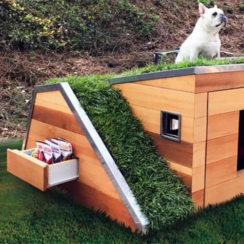 DIY casa para perros