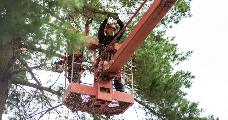 Alquiler de plataforma elevadora
