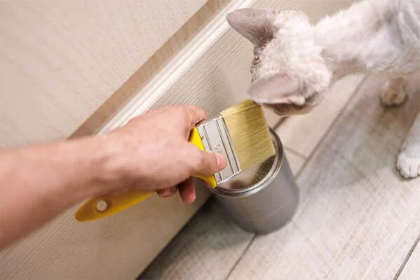 Renueva tu hogar por completo sólo pintando las puertas