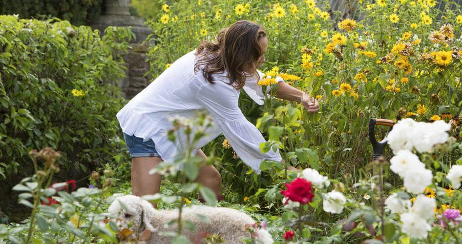 Prepara tu jardín para la primavera con Smoh