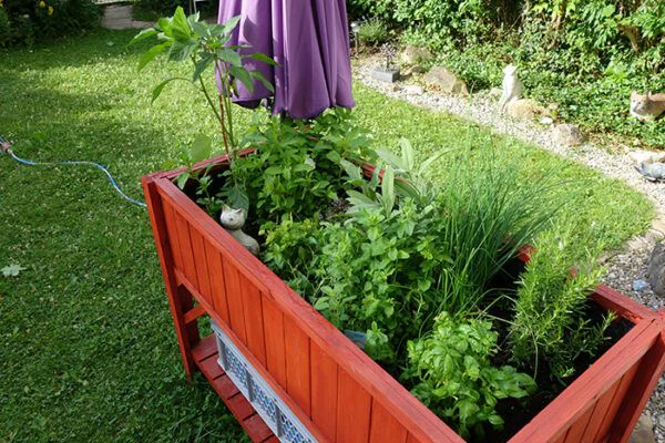 mesa cultivo plantas