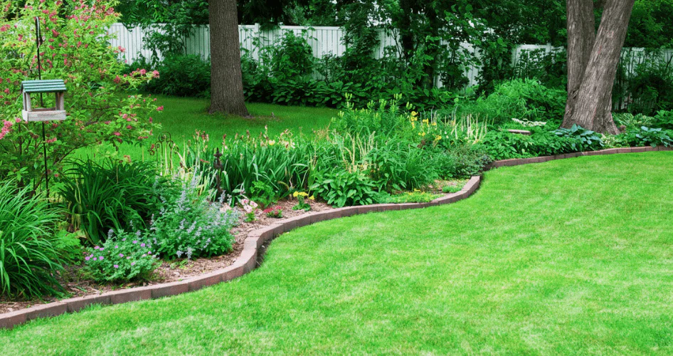 bordillos jardin casero