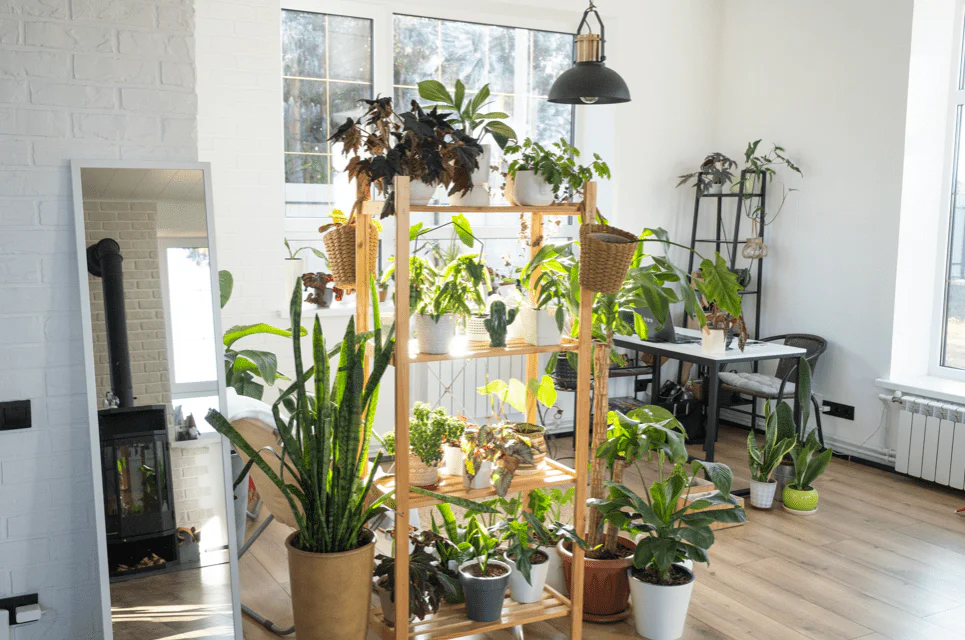 soporte para plantas