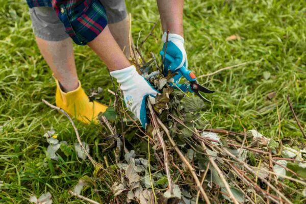 Person wearing plaid shirt and yellow boots pruning a pile of branches in a grassy area with blue gloves and pruning shears.